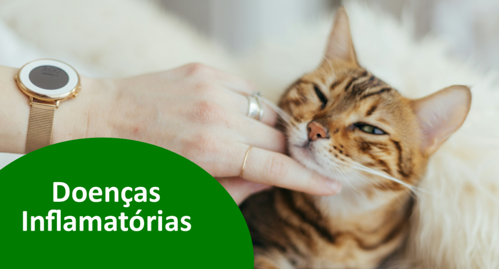 Doenças Inflamatórias em Pets