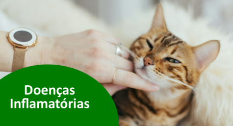Doenças Inflamatórias em Pets