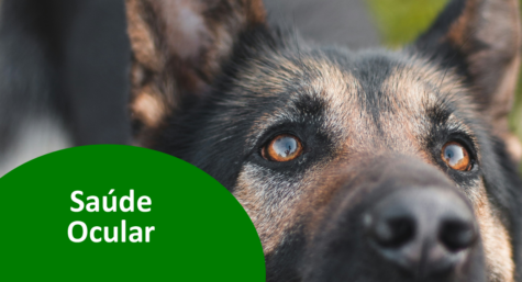 10 de julho: dia mundial da saúde ocular