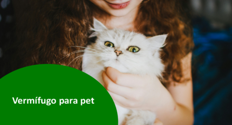 Vermífugo para pet: Importância e benefícios