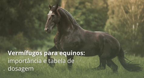 Vermífugos para equinos: a importância da vermifugação e tabela de dosagem